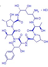 1-[(4R,5R)-4,5-Dihydroxy-L-ornithine]echinocandin B hydrochloride (1:1)